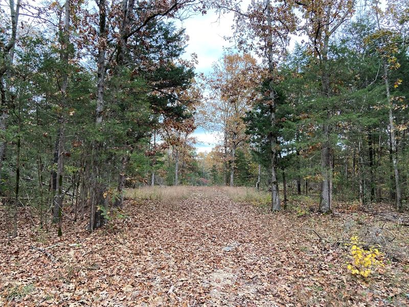 Arkansas Hunting Land 10.6 Acres Land for Sale in Ravenden Springs