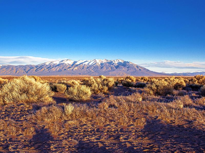 5.11 Acres Alamosa $3K Down A74-45 : Mosca : Alamosa County : Colorado