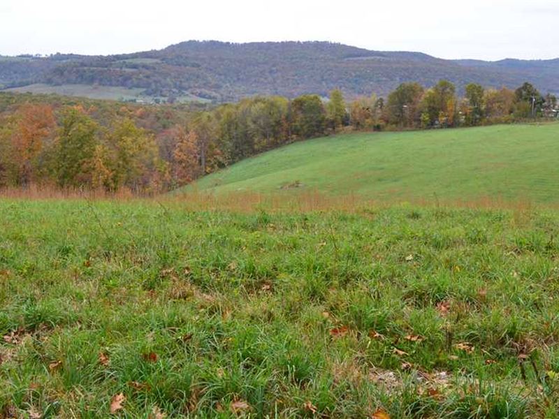 25.65 Surveyed Acres with Beautifu : Marshall : Searcy County : Arkansas