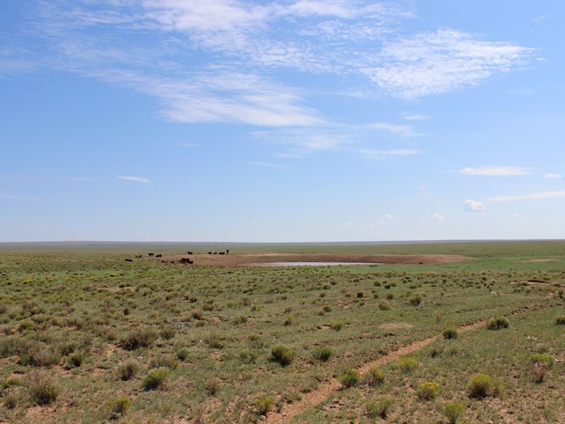 Land in Southern New Mexico : Tularosa : Otero County : New Mexico
