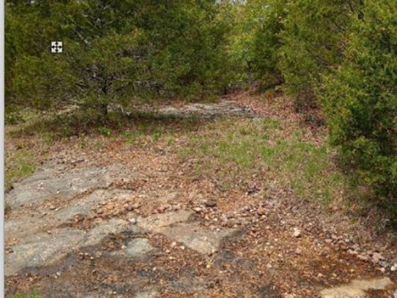 Off Grid, RV / Tiny Home / Cabin : Henderson : Baxter County : Arkansas