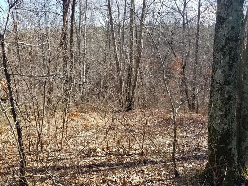 12.70+/- Acres Wooded with Creek : South Pittsburg : Marion County : Tennessee