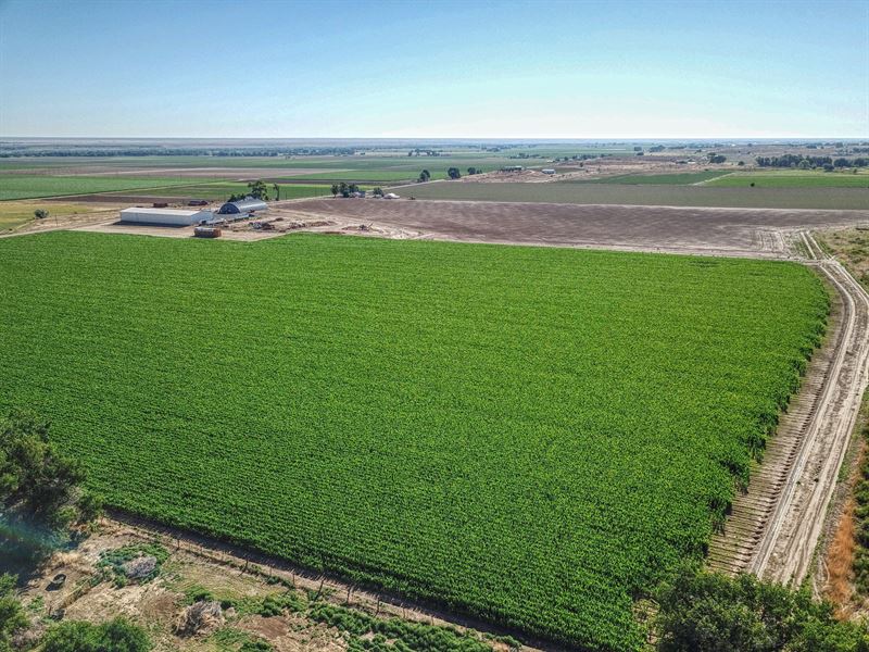 Centa Avondale Farm : Avondale : Pueblo County : Colorado