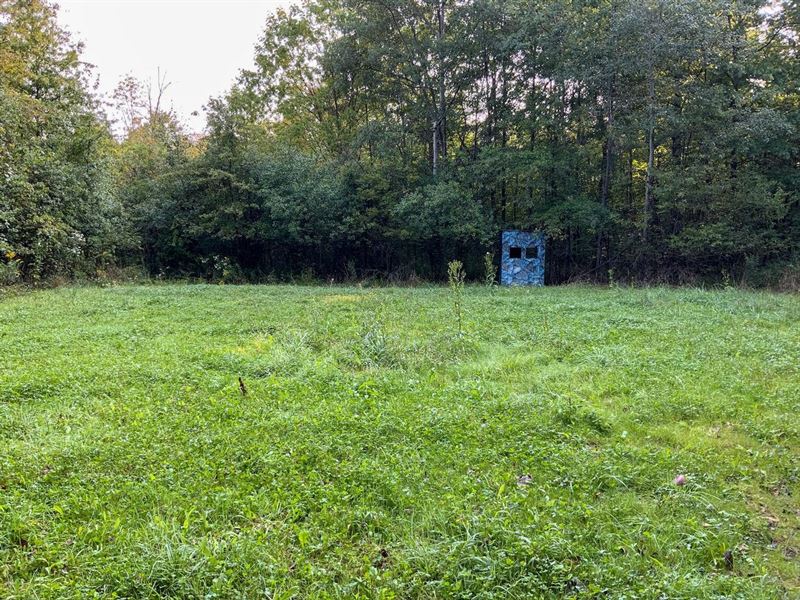 North Rd, 30 Acres, Trumbull Coun : Warren : Trumbull County : Ohio