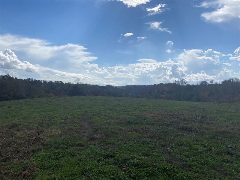 Land in Lawrenceburg Tennessee : Lawrenceburg : Lawrence County : Tennessee