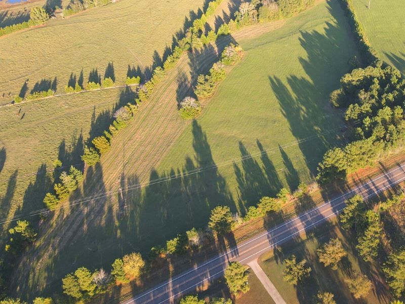 10.7 Ac Homesite Location East : Atlanta : Cass County : Texas