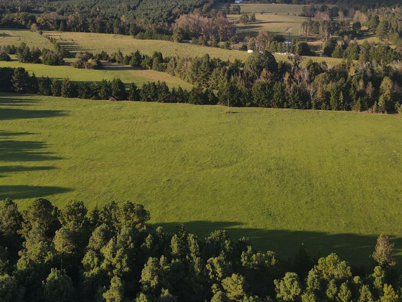 East Texas Homesite Location : Atlanta : Cass County : Texas