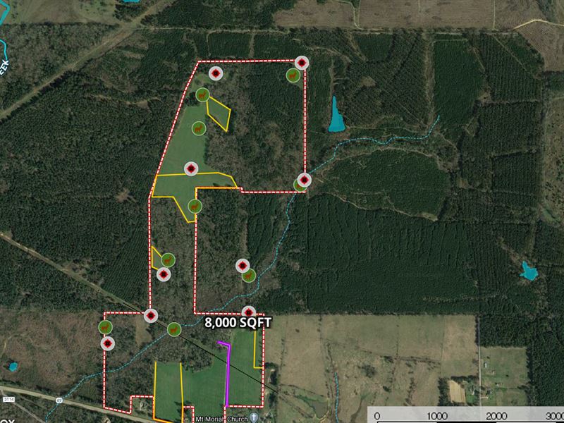 East Texas Ranch for Sale : Daingerfield : Morris County : Texas