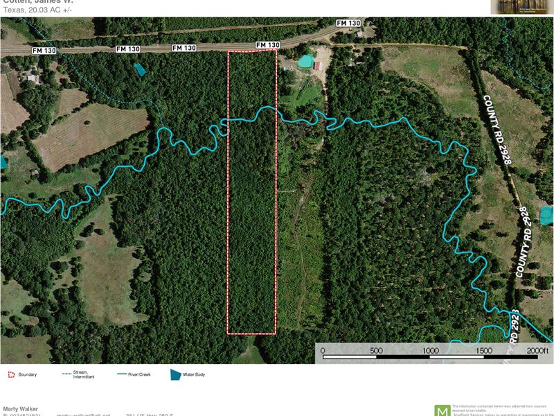 Prime Hunting Land in East Texas : Hughes Springs : Cass County : Texas
