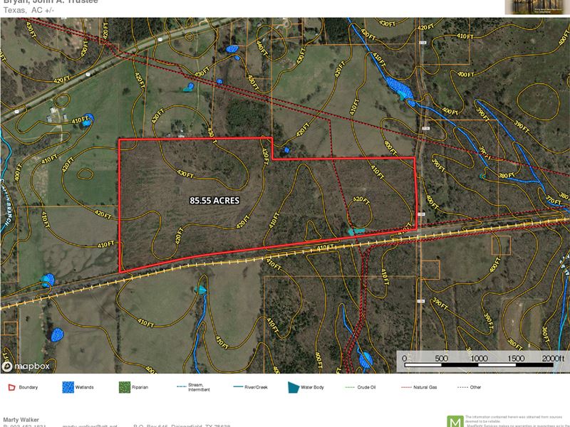 East Texas Hunting Land : Pittsburg : Camp County : Texas