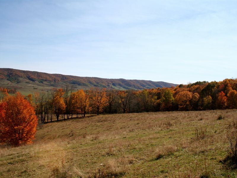 Grazing Hunting Land/Blue Grass : Monterey : Highland County : Virginia