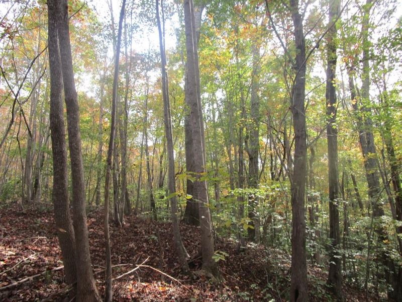 Building Lot in Southern VA : Victoria : Lunenburg County : Virginia