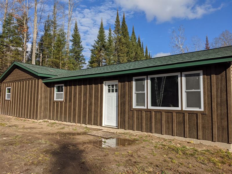Northern MI Home Acreage Atlanta MI : Hillman : Montmorency County : Michigan