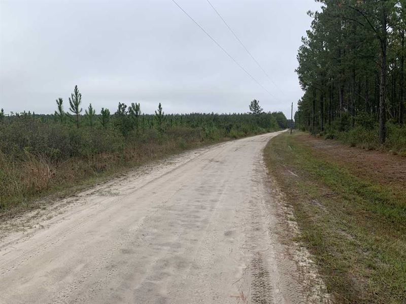 Build, Hunt, Invest : Manor : Ware County : Georgia