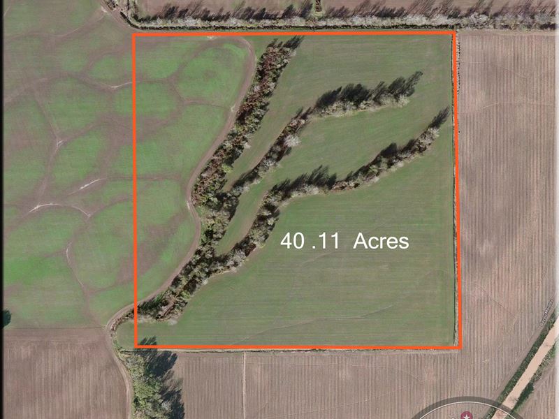 Two Tracts, Pointe Coupee Parish : Lettsworth : Pointe Coupee Parish : Louisiana