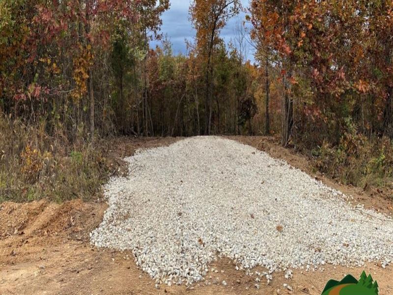 Private Parcel with a Clearing : Thayer : Oregon County : Missouri
