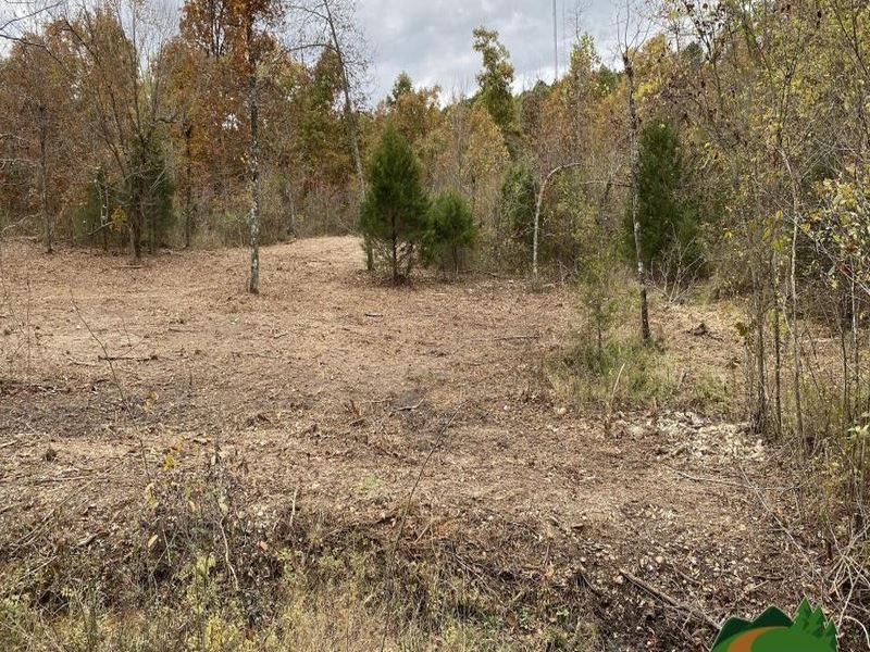 Quiet Parcel with A Spring : Thayer : Oregon County : Missouri