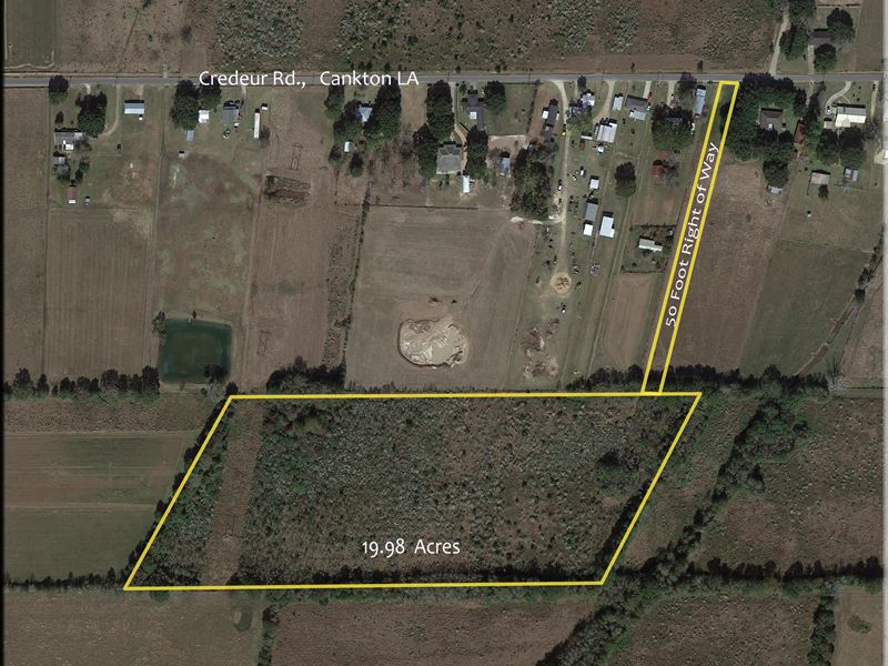 Total Privacy 2 Minutes From Town : Cankton : Saint Landry Parish : Louisiana