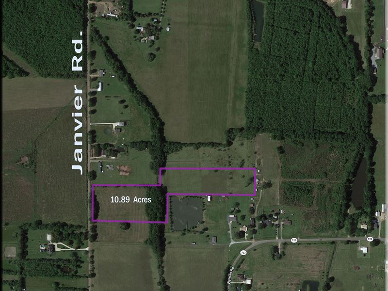 Country Living At Its Finest : Scott : Lafayette Parish : Louisiana