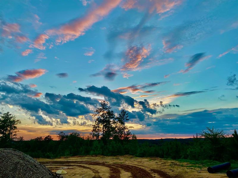 Recreation, Timber, Investment : Winnsboro : Fairfield County : South Carolina