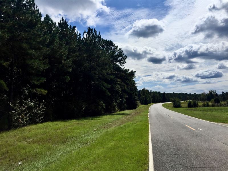 Tennille Harrison Road Lot : Harrison : Washington County : Georgia