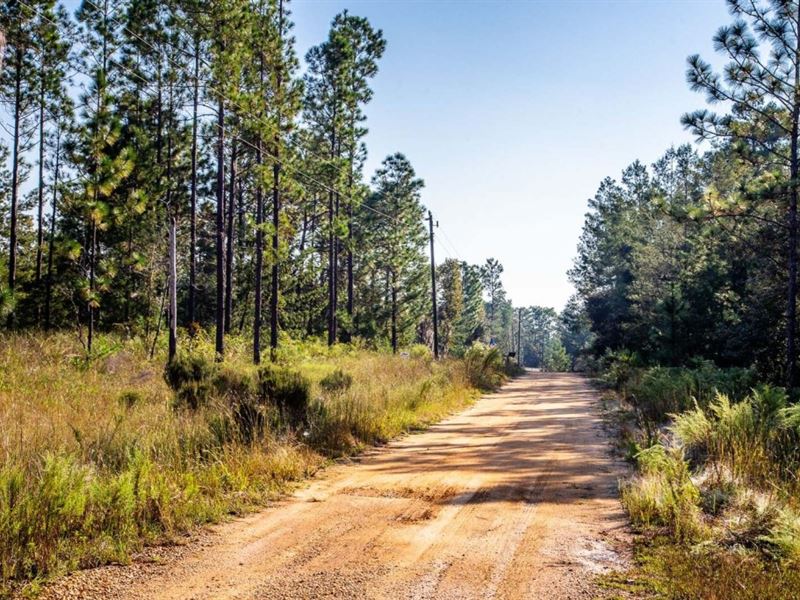 2.5 Acres in Interlachen, FL : Interlachen : Putnam County : Florida