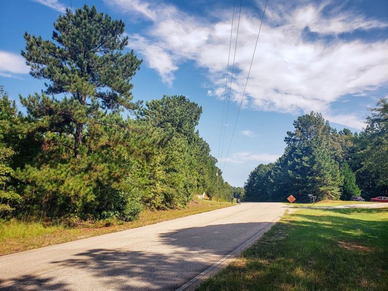Reduced, Paved Rd, Water, 17.95 Ac : Greenville : Meriwether County : Georgia