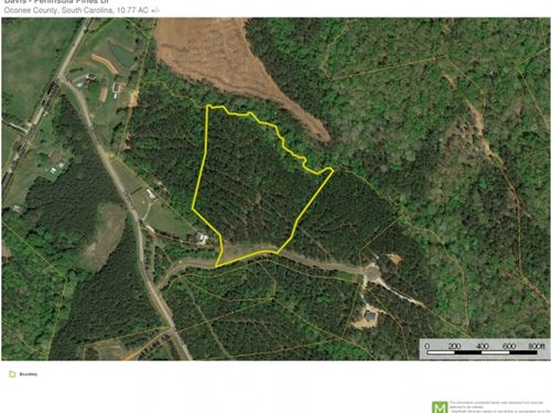 10.77-Acres-Beautiful Acreage : West Union : Oconee County : South Carolina
