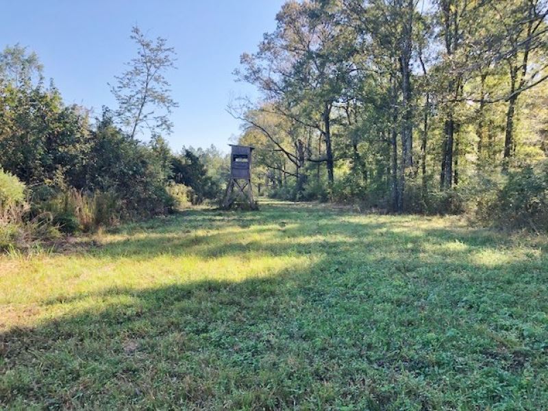 166 Acres Wildlife Heaven : Hazlehurst : Copiah County : Mississippi