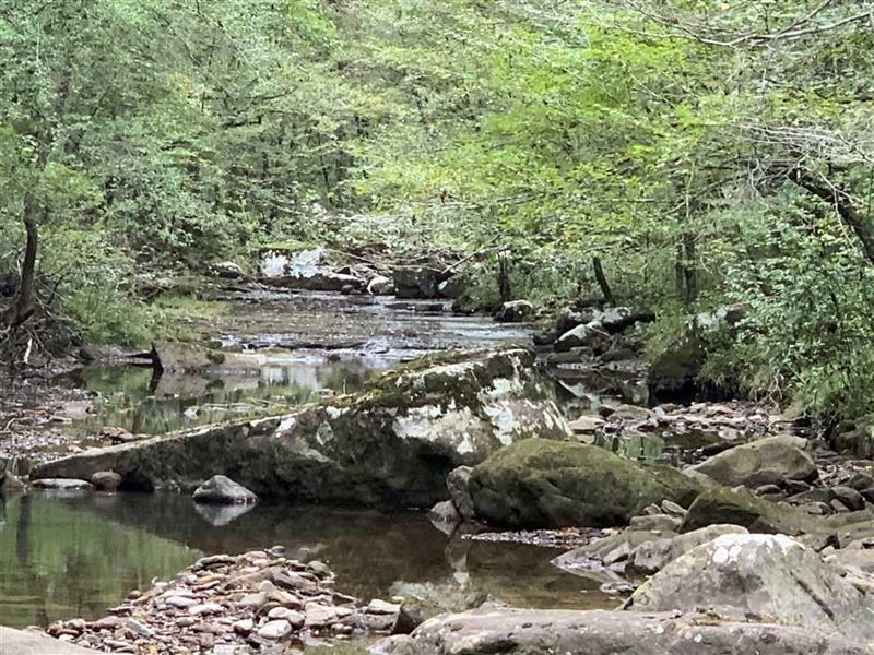2,000 Acre White Oak Plantation : Shirley : Cleburne County : Arkansas