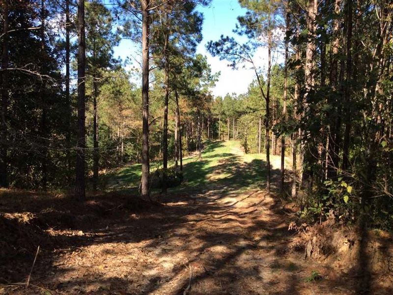 Eason Road Tract, Caldwell Parish : Columbia : Caldwell Parish : Louisiana