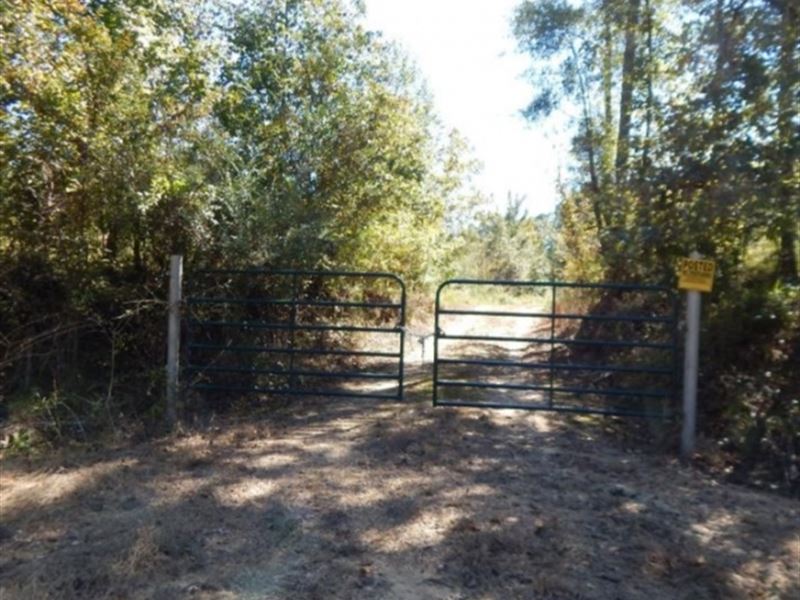 30 Acres in Adams County in Roxie : Roxie : Adams County : Mississippi