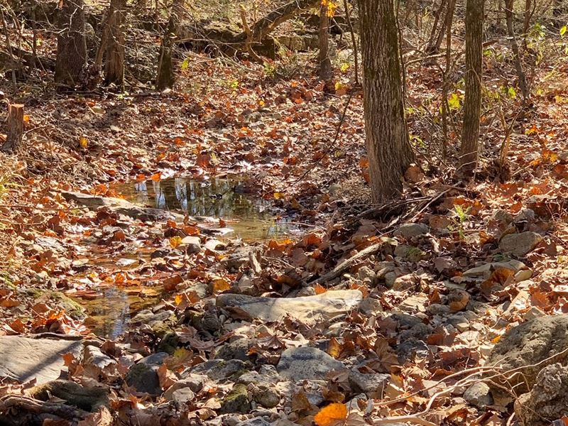 Arkansas Hunting Property for Sale : Williford : Sharp County : Arkansas