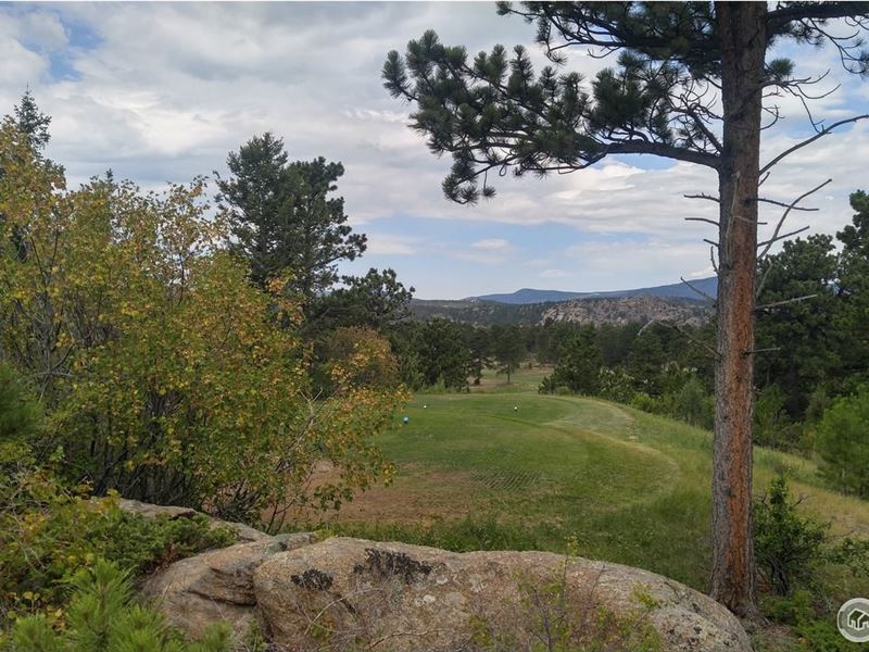 Private Corner Lot Fox Acres Golf : Red Feather Lakes : Larimer County : Colorado