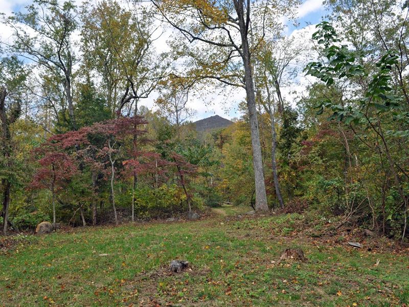 10 Acre Wooded Tract National : Bedford : Bedford County : Virginia