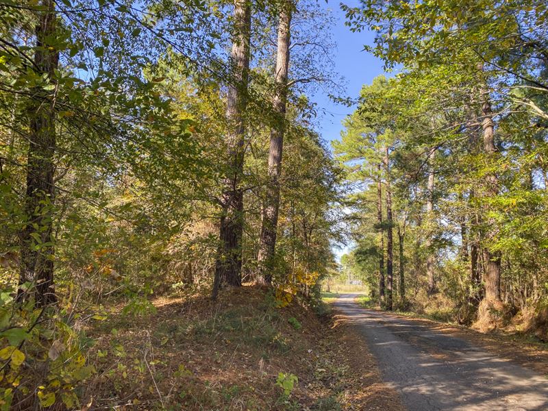 251 Acres Lightfoot Road : Huntington : Angelina County : Texas