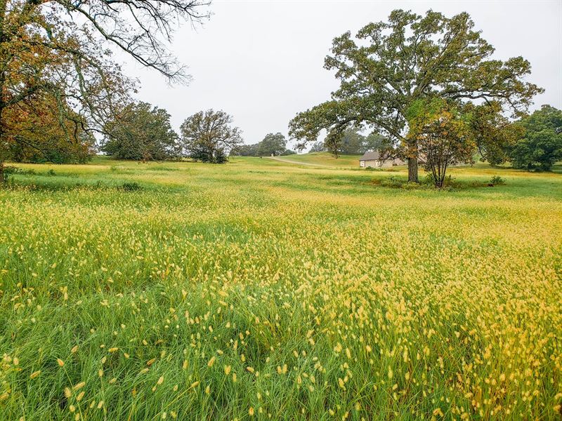 1.13 Acres in Henderson County : Athens : Henderson County : Texas
