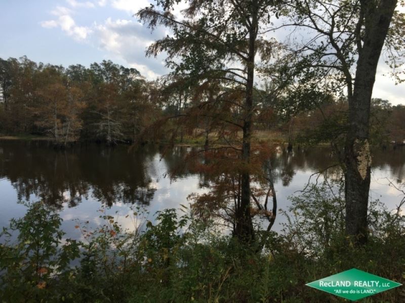 Lot, Ready To Build On Bayou Barth : Sterlington : Morehouse Parish : Louisiana