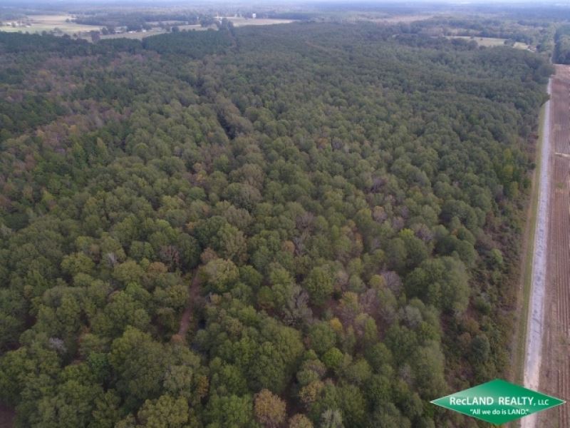 240 Ac, Crp Income & Hunting : Oak Grove : West Carroll Parish : Louisiana