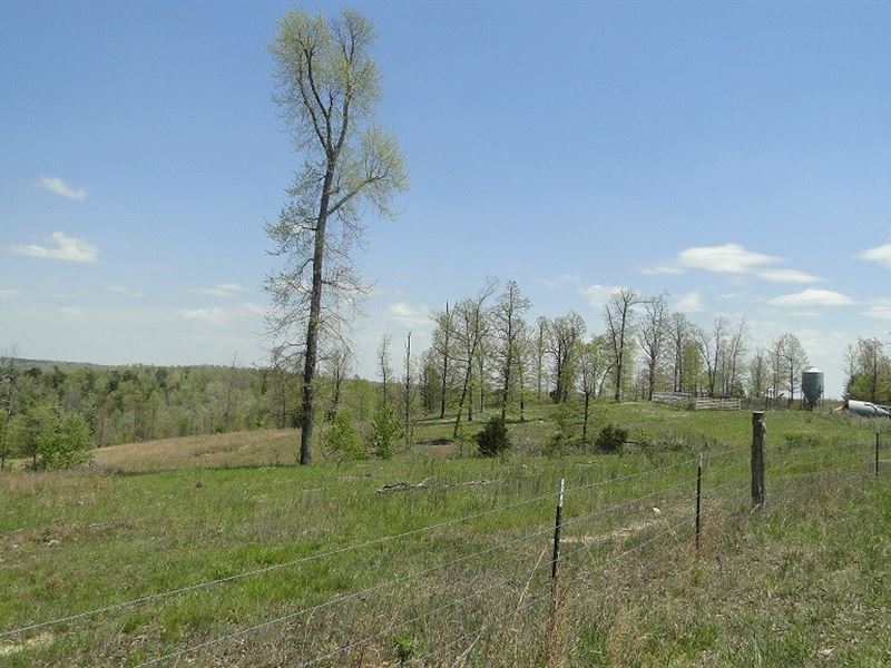 Arkansas Hunting Acreage/Farm Creek : Wild Cherry : Fulton County : Arkansas