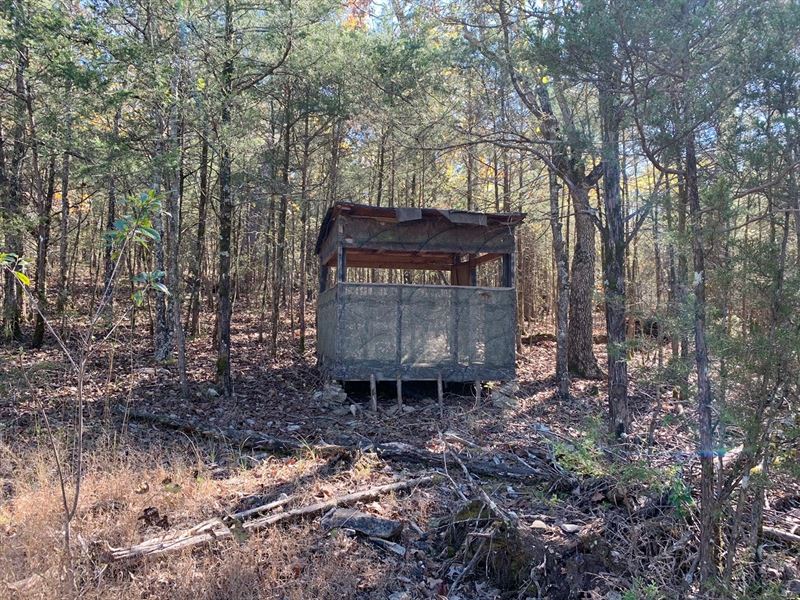 Arkansas Recreational Property : Williford : Sharp County : Arkansas