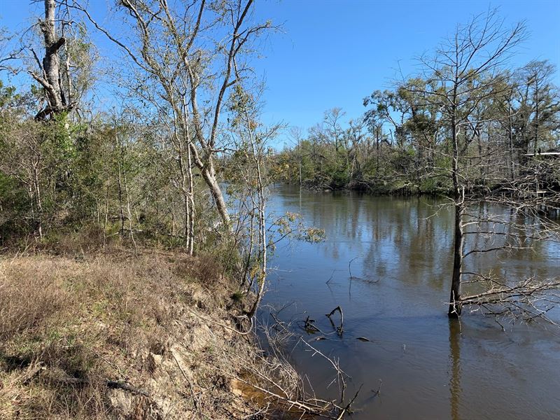 Land in Calhoun County, Florida : Blountstown : Calhoun County : Florida