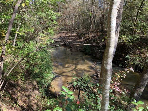 River Front Acreage : Salem : Oconee County : South Carolina