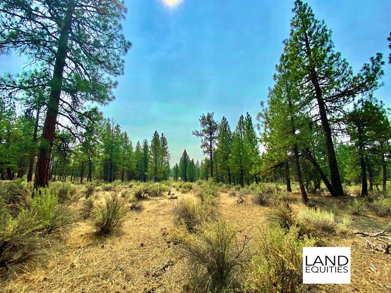Park Like Settting, Trees & Power : Sprague River : Klamath County : Oregon