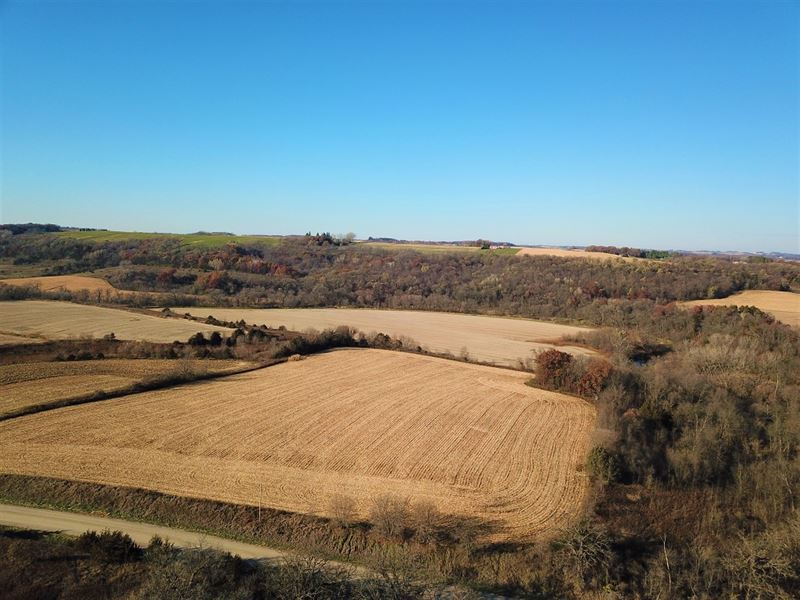 11 Acres Fillmore County, MN : Preston : Fillmore County : Minnesota