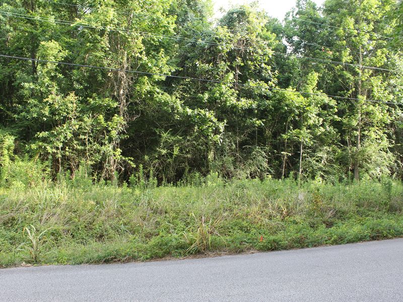 .44 Acres in Cleveland, TX : Cleveland : Liberty County : Texas
