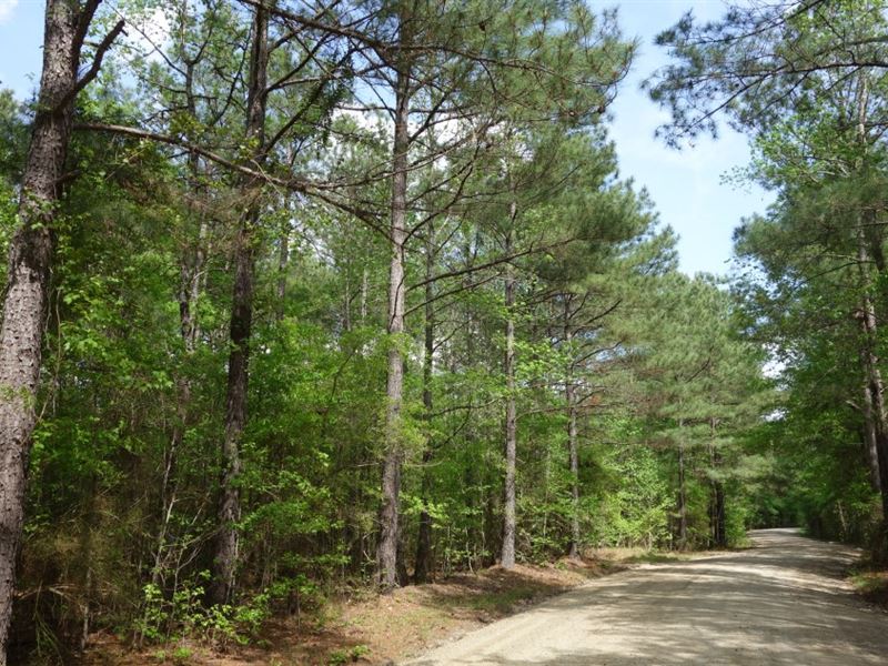 Suitable for New Construction : Winnsboro : Fairfield County : South Carolina
