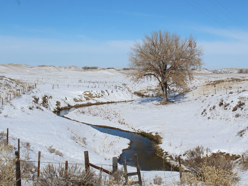 Shaw Farm & Ranch : Morrill : Scotts Bluff County : Nebraska