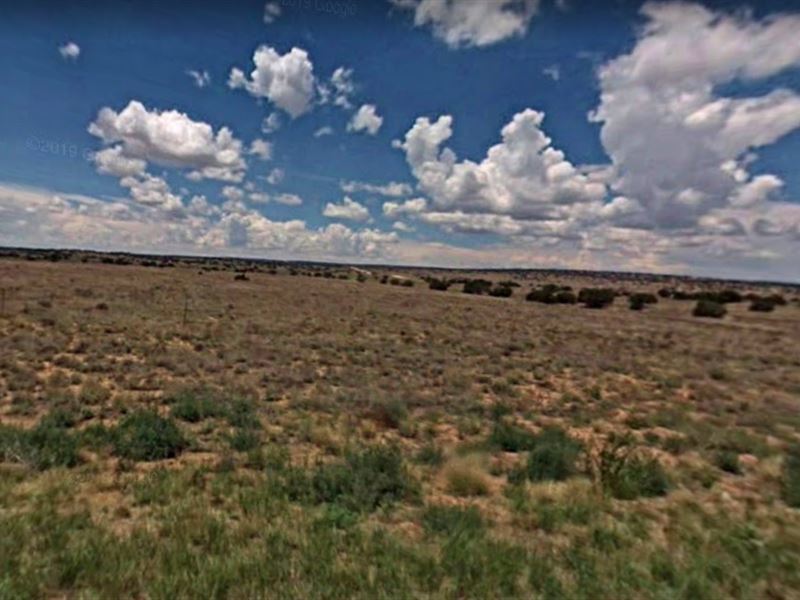 5 Acre Agricultural Lot in AZ : Saint Johns : Apache County : Arizona