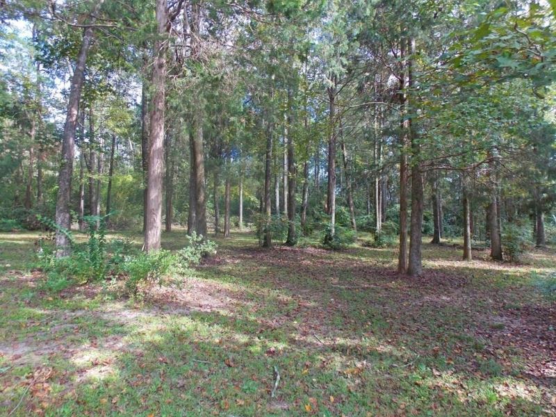 107 Cedar Ridge Rd Lot : McComb : Pike County : Mississippi